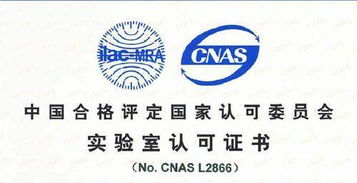 CNAS認(rèn)可的專(zhuān)業(yè)咨詢單位機(jī)構(gòu)在軟件開(kāi)發(fā)領(lǐng)域的作用